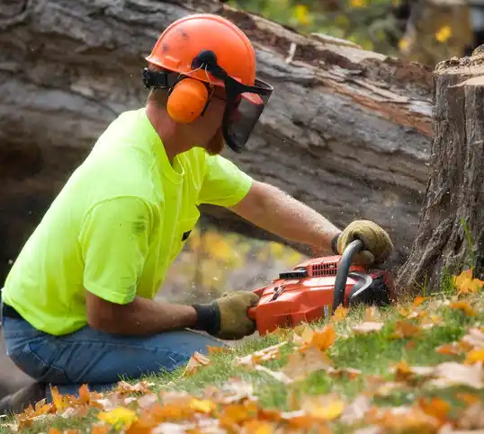 tree services New London